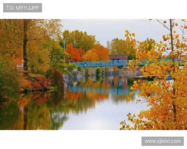 加拿大本国篮球联赛（加拿大篮球落选赛赛程）sports